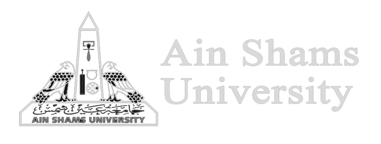 Ain Shams University
