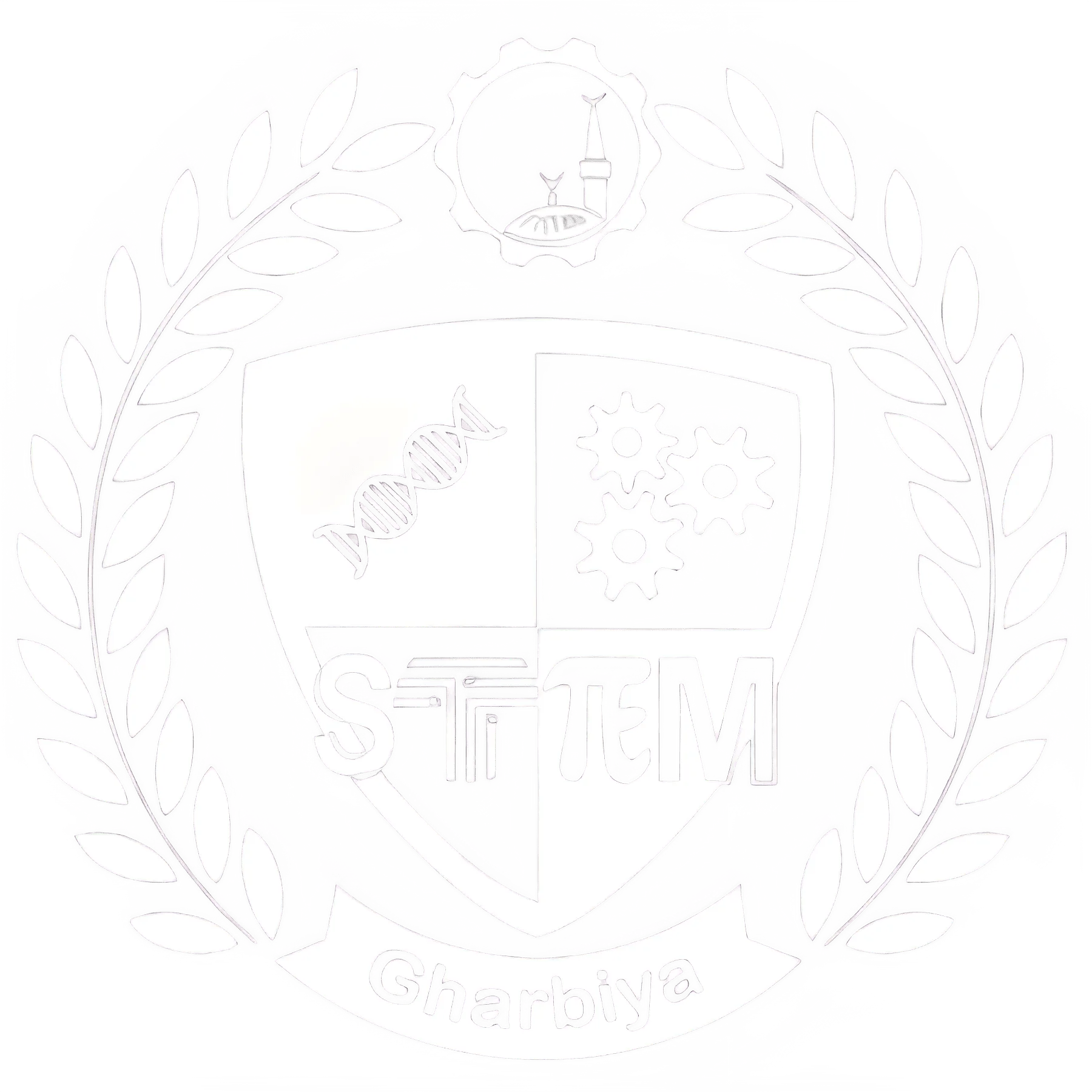 STEM Gharbiya