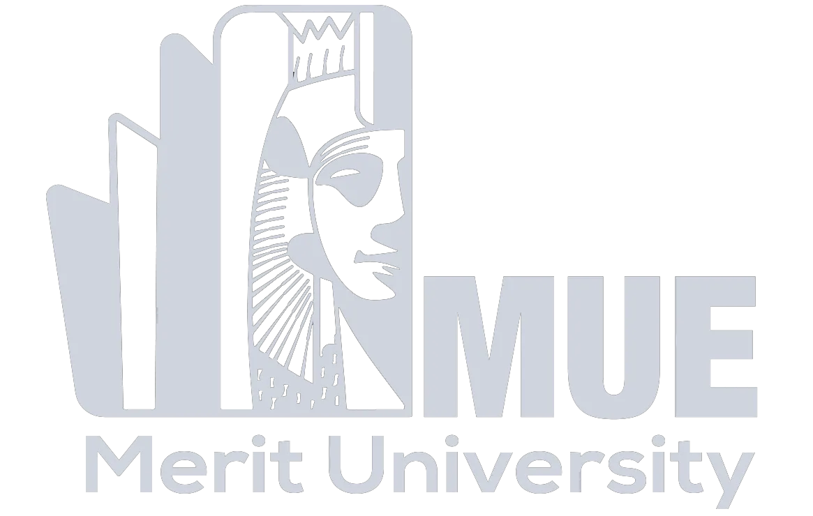 Merit University